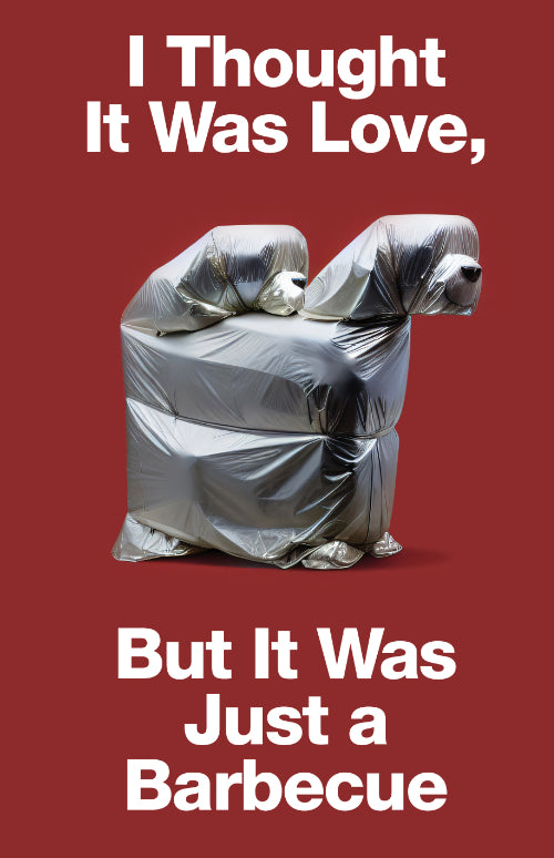 I Thought It Was Love, But It Was Just A Barbecue cover image
