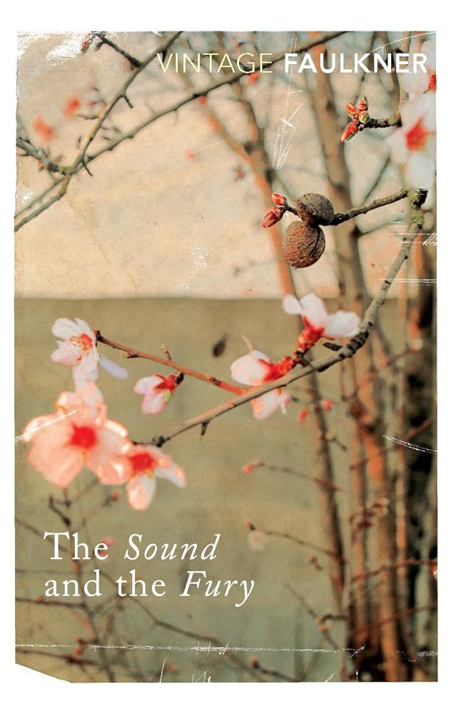 The Sound and the Fury cover image