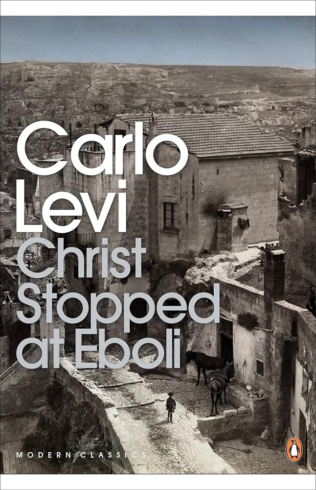 Christ Stopped at Eboli The Story of a Year cover image