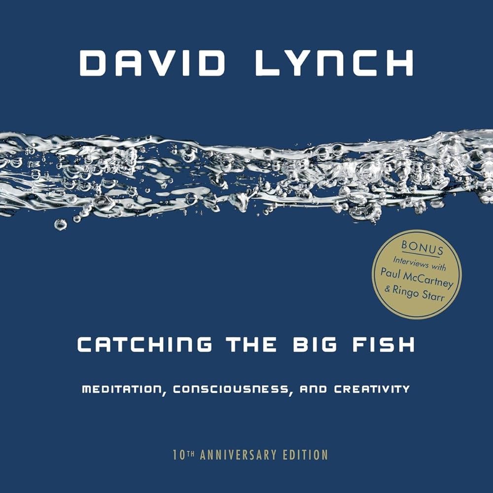 Catching the Big Fish Meditation, Consciousness, and Creativity cover image