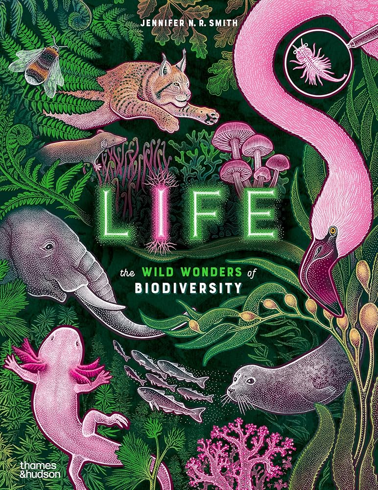 Life: The Wild Wonders of Biodiversity (Wild Wonders, 3) cover image