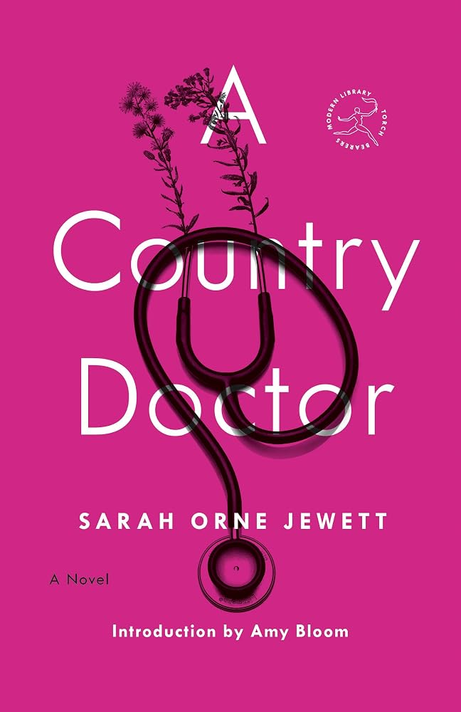 A Country Doctor: A Novel cover image
