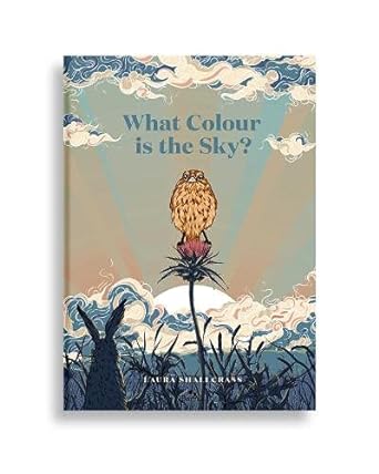 What Colour is the Sky cover image