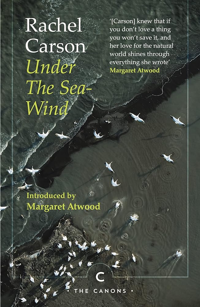 Under the Sea-Wind cover image