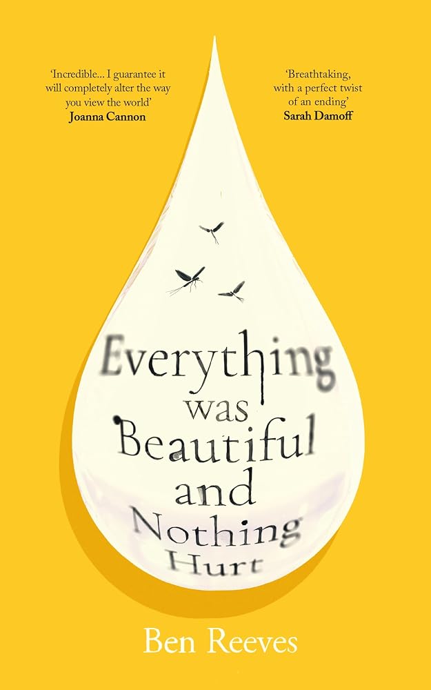 Everything was Beautiful and Nothing Hurt cover image