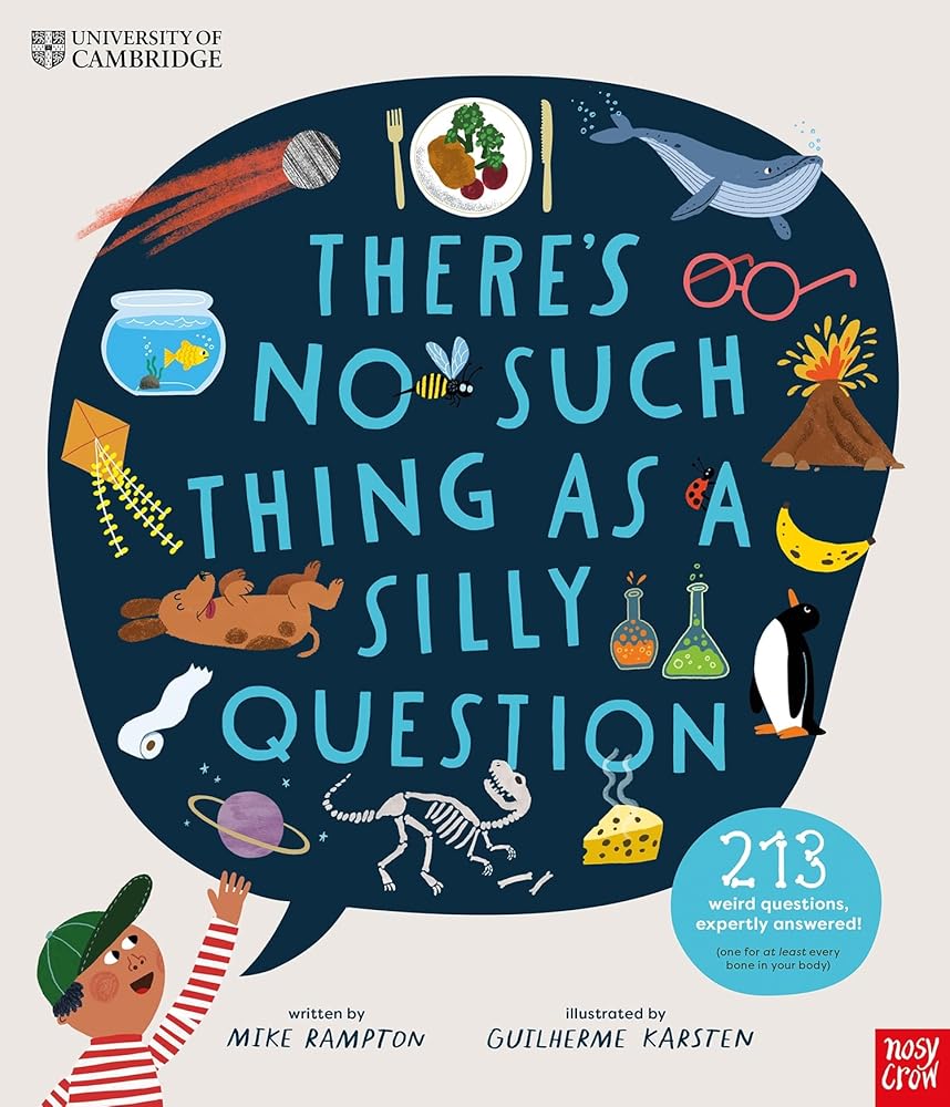 There's No Such Thing as a Silly Question cover image