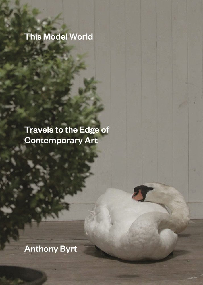 This Model World Travels to the Edge of cover image