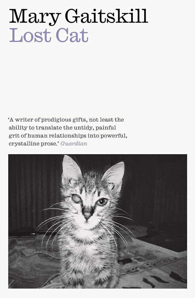 Lost Cat cover image