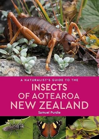 A Naturalist Guide to the Insects of Aotearoa New Zealand cover image