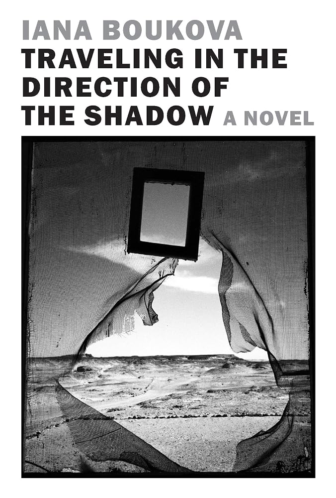 Traveling in the Direction of the Shadow cover image