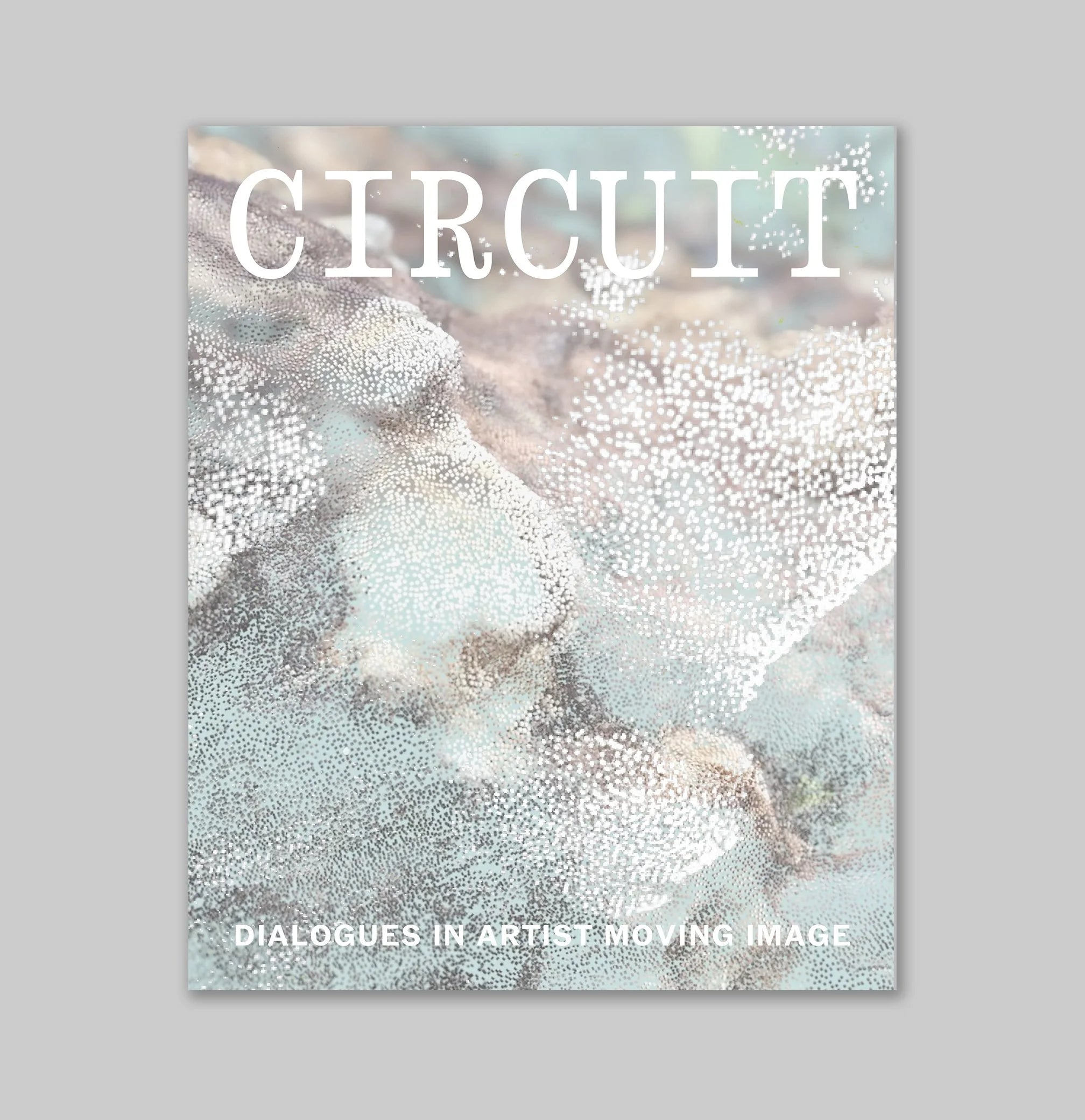 CIRCUIT: Dialogues in Artist Moving Image cover image