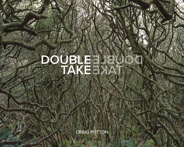 Double Take cover image