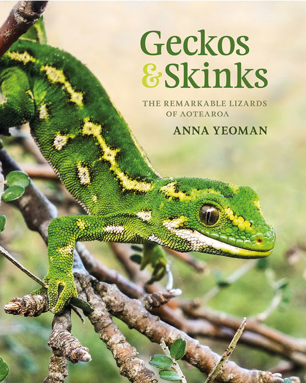 Geckos & Skinks: The remarkable lizards of Aotearoa cover image