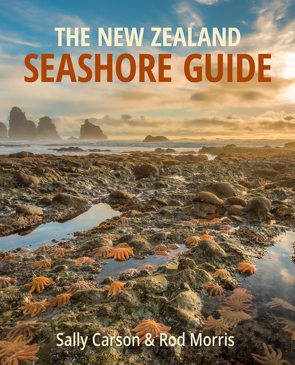 New Zealand Seashore Guide cover image